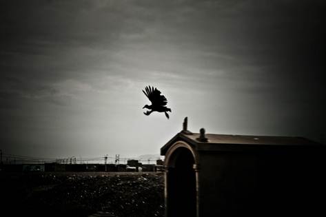 Sans plume
